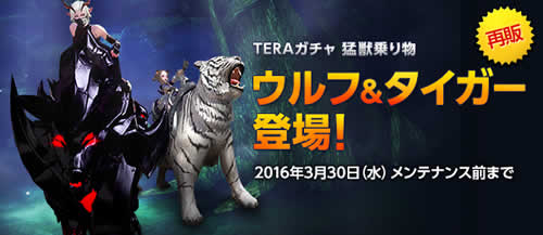 TERA_「ウルフ＆タイガー」再販登場！